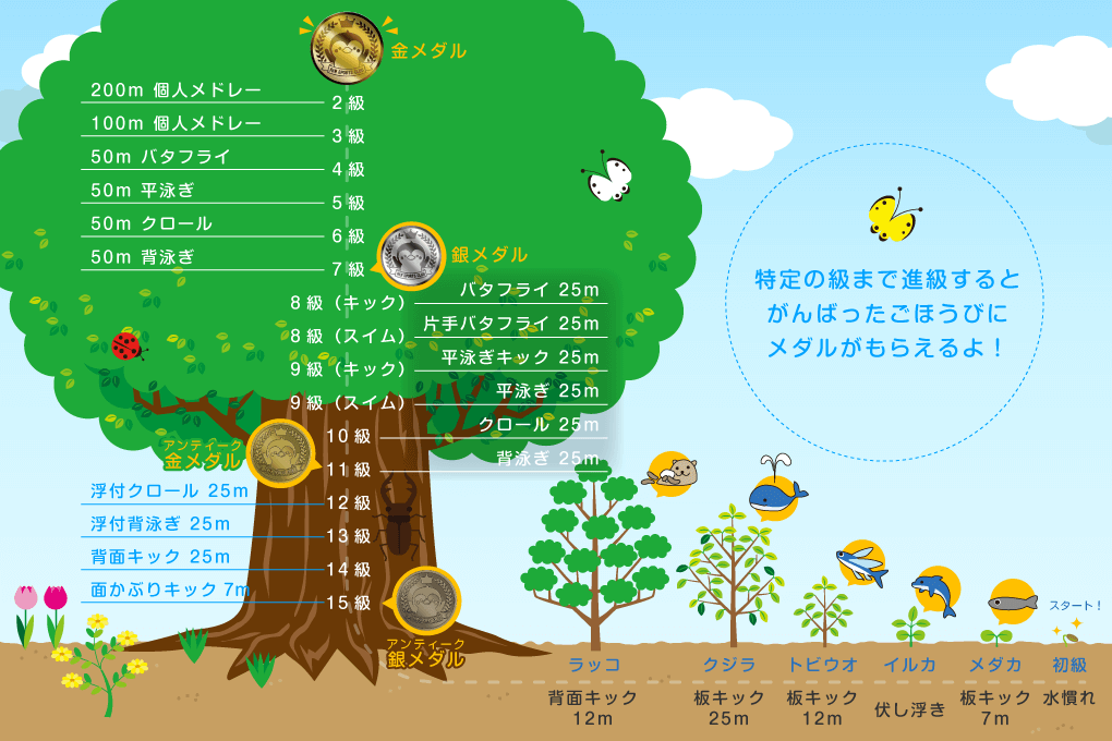 進級基準イメージ図